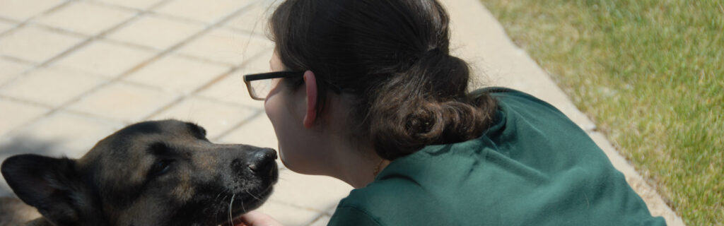 German sheppard service dog takes a break and looks intently at its owner