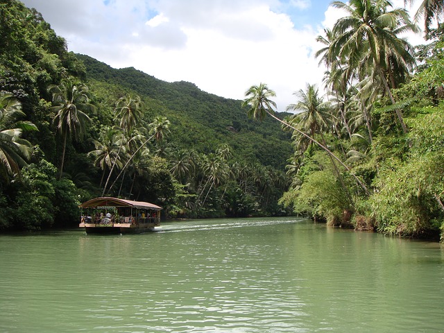 Philippines rainforest; Photo by: pixabay.com, Creative Commons Deed CC0
