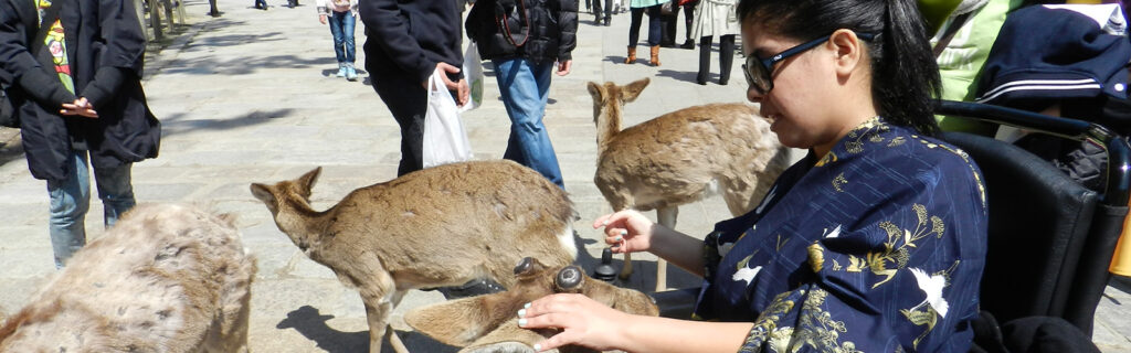 A young woman wearing sari material as she uses a wheelchair is petting several animals in a local courtyard.