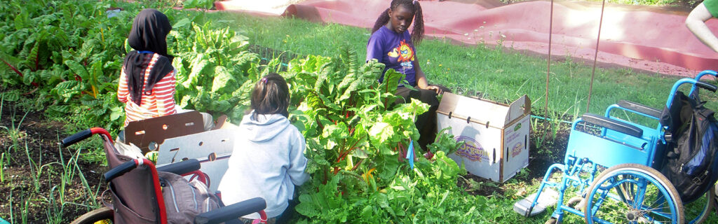 Students with disabilities working in a community garden