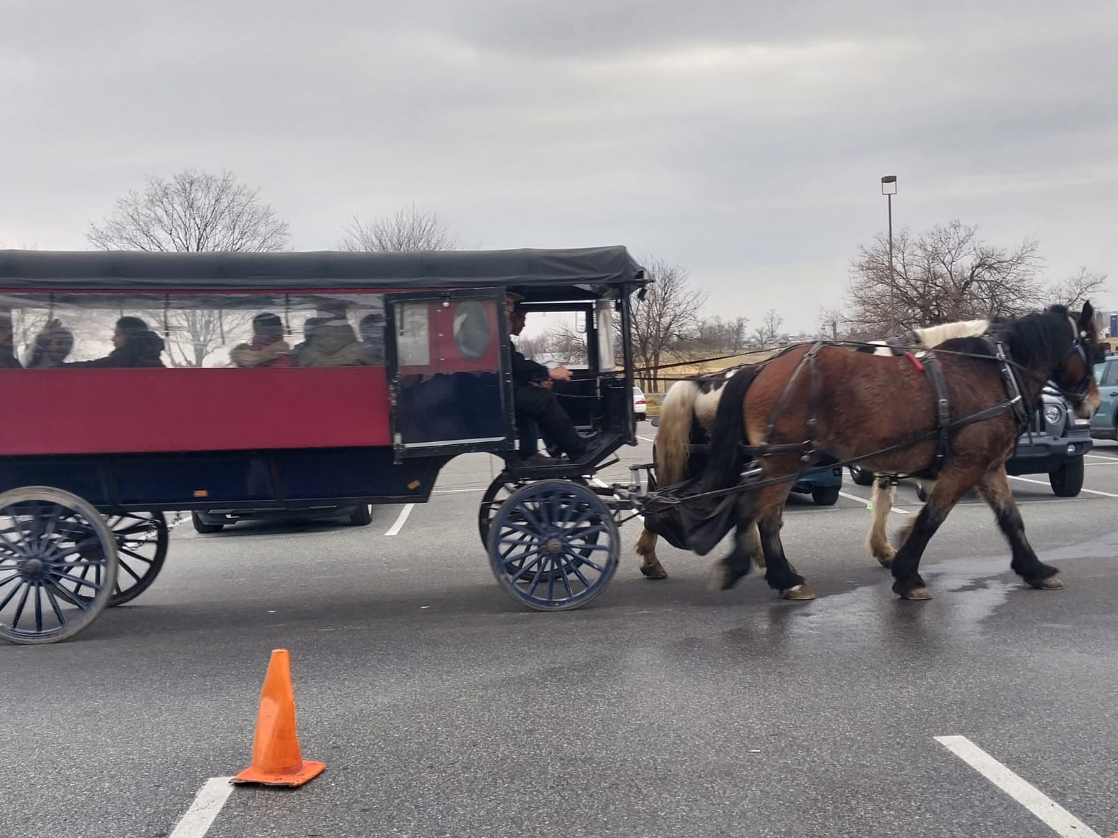 An Amish horse and buggy moves through a parking lot. Figures can be seen sitting inside the buggy.