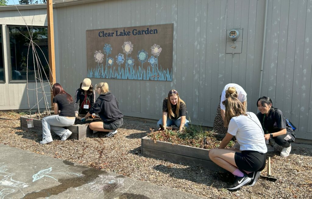 Students kneeling next to garden beds while digging through soil.