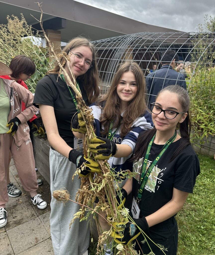Three students holding an overgrown plant at a community garden.