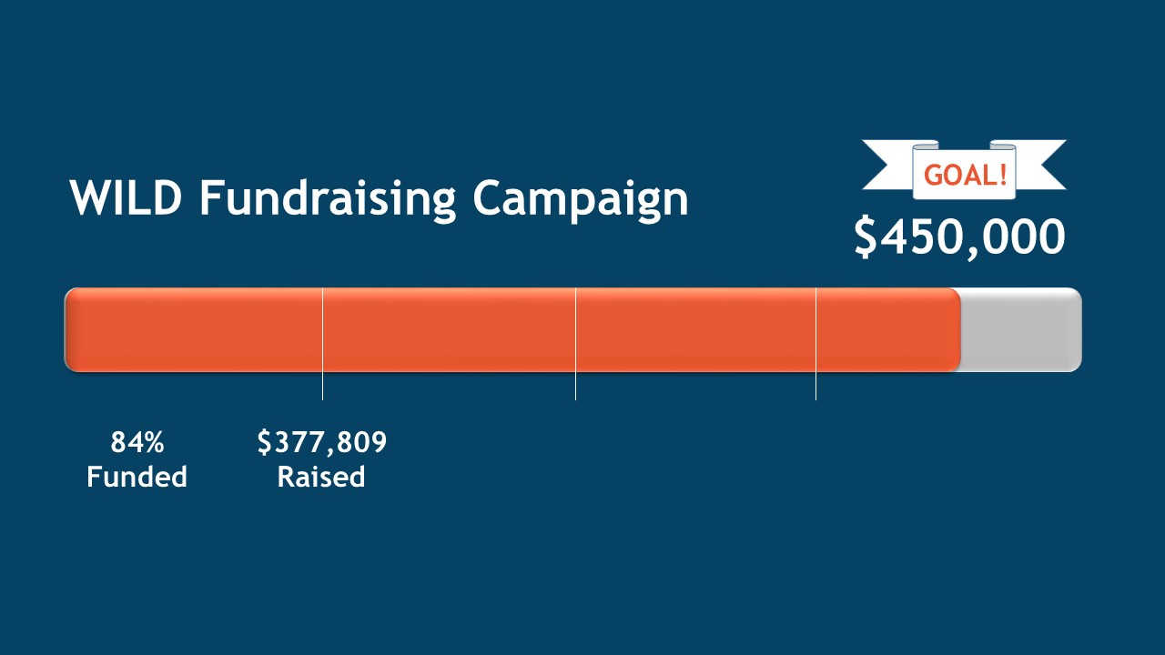 The fundraising campaign thermometer shows 84% funds raised toward the goal of $450,000.